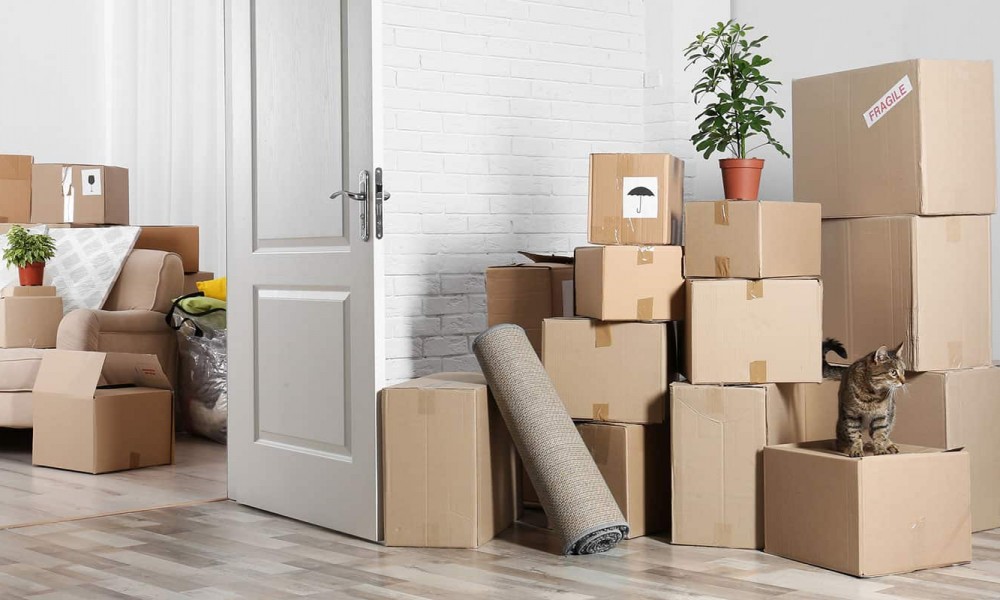 Çorlu Nakliyat Firması Seçerken Nelere Dikkat Edilmeli?